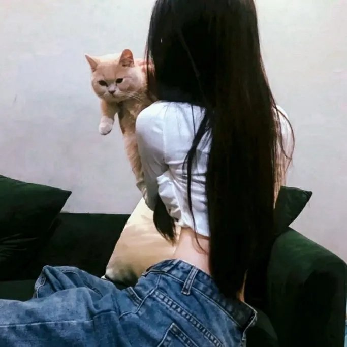 哈莉·奎茵第二季